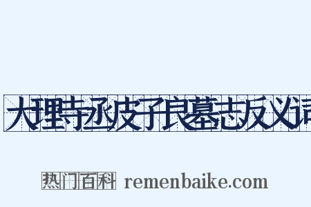 大理寺丞皮子良墓志反义词是什么意思的图片